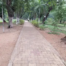 mango Park
