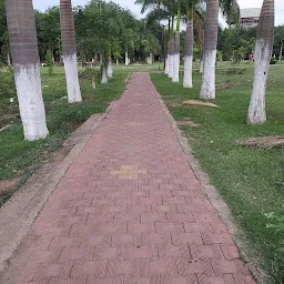 mango Park