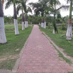 mango Park