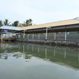 Mangrove Meadows