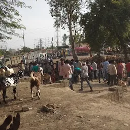 Manna Miyan Bakri Bazar