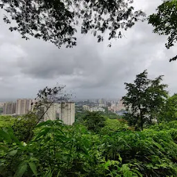 Manpada Forest Birds watching Area