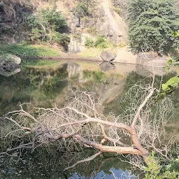 Manpada Forest Birds watching Area