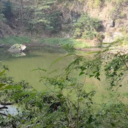 Manpada Forest Birds watching Area