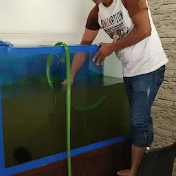 Manthan Aquarium . Maintenance & servicing (Cleaning).