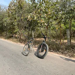 Marasandra Forest