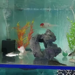 Marine Fish Life Pet Shop 2