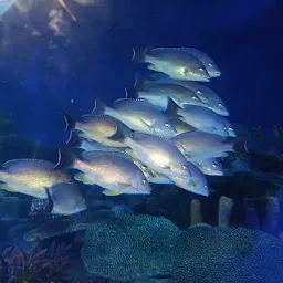 Marine world aquarium