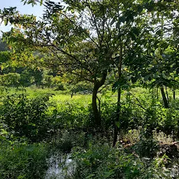 Maroshi Naka/Picnic Point