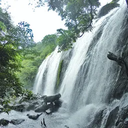 Marottichal Waterfalls & Forest wildlife Sanctuary