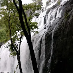 Marottichal Waterfalls & Forest wildlife Sanctuary