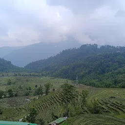 Martam Rice Valley Resort