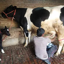 Marwah Dairy farm