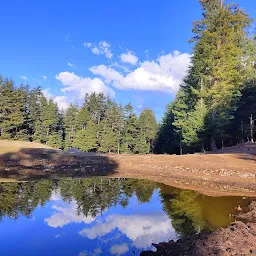 Mashara Pond