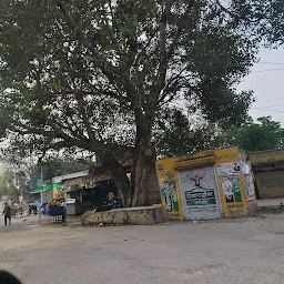 MASJID DARGAH QALANDAR BUDHA KHERA