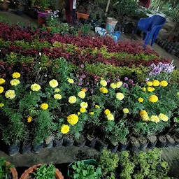 MASUM FLOWER NURSERY