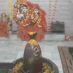 Mata Baglamukhi Devi Ji Mandir