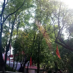 Mata Baniya Devi Temple