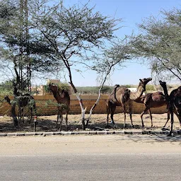 Matar's Deep Desert Safaris