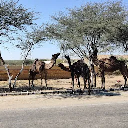 Matar's Deep Desert Safaris