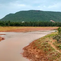 Matri Rajashekhar Bridge