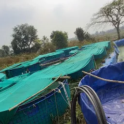 Matrukrupa Organic Biofloc Fish Farming