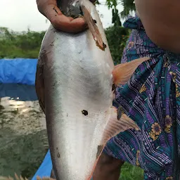 Matrukrupa Organic Biofloc Fish Farming