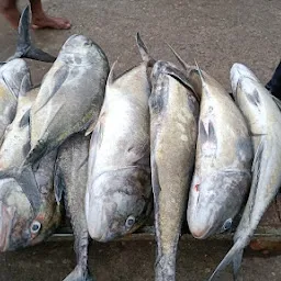 Matsya Fish Stall