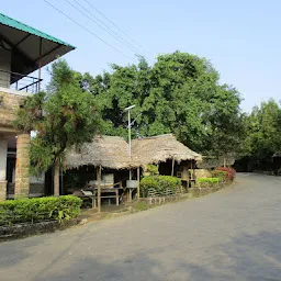 Mawlynnong Nature Camp Stay