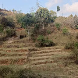 Mawphlang David Scott Trail - East Khasi Hills District, Meghalaya, India