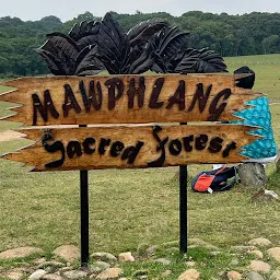 Mawphlang sacred Forest