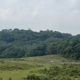Mawphlang sacred Forest