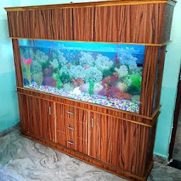 MAYANK FISH AQUARIUM