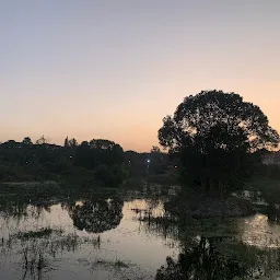 Mesthripalya Lake