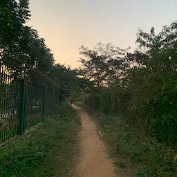 Mesthripalya Lake