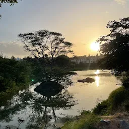 Mesthripalya Lake