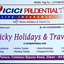 Micky Holidays & Travel Co