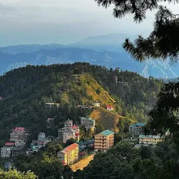 Million Rejoice| Travel agents in Shimla| Tour operators in Shimla/Himachal| Top travel agents shimla| Best travel agency