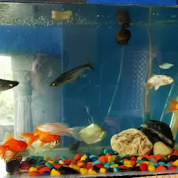 Minakshi Aquarium