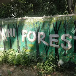 Mini Forest Faridabad Parking