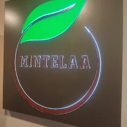 Mintelaa Jamshedpur