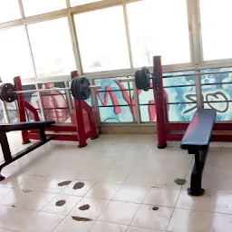 Mirror Gym