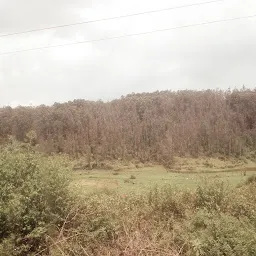 misty hills cotteges