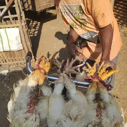 Mithun poultry
