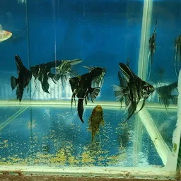 MK Aquarium