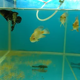 MK Aquarium