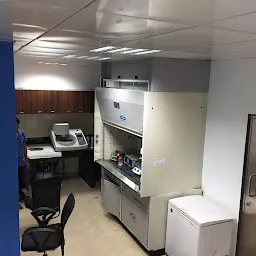 MMMF lab