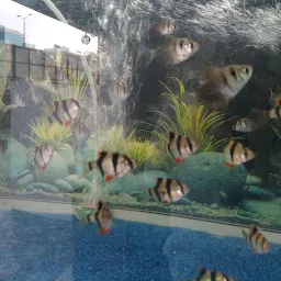 Modern Aquarium & Pet Shop