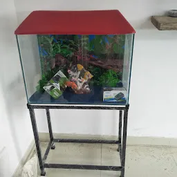 Modern Aquarium & Pet Shop