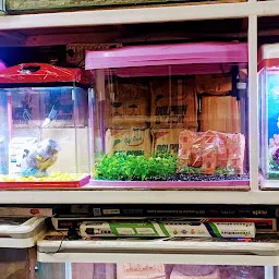 Modern Fish Aquarium